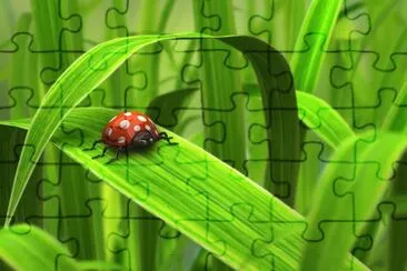 Dibujados, Naturaleza jigsaw puzzle