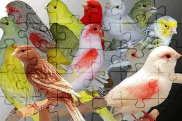 imagens jigsaw puzzle