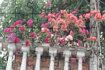 jardÃ­n florido