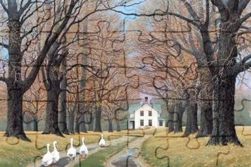 todo paisaje
