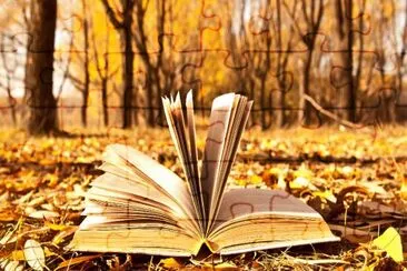 book jigsaw puzzle