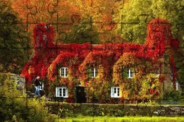 autunno jigsaw puzzle