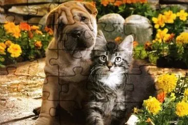 amistad jigsaw puzzle