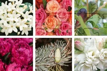 Fleurs jigsaw puzzle