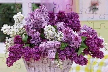 Pretty Basket of Lilacs