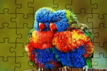 Fotografia,Aves