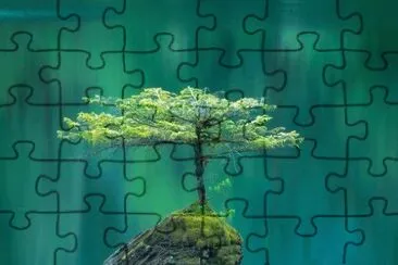 fave jigsaw puzzle
