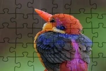 pajarito jigsaw puzzle