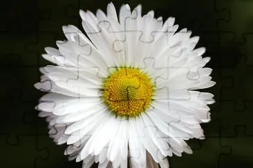 פאזל של Tierra,Naturaleza,Margarita