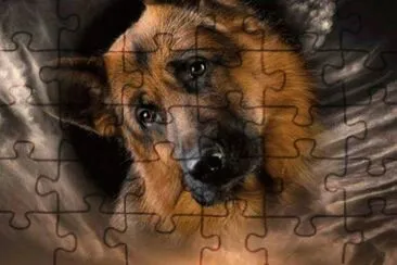 פאזל של GSD