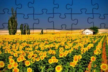summer-168 jigsaw puzzle