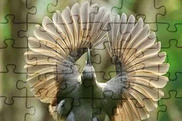 Naturaleza Viva