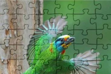 Saliendo de Casa jigsaw puzzle