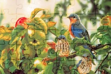Artistico- Aves