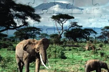 imagens jigsaw puzzle