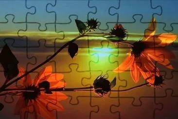 imagens jigsaw puzzle