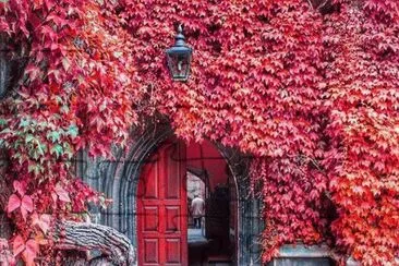 imagens jigsaw puzzle