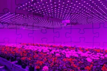 Plant Lab of the Future-Holland