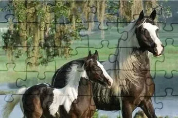 imagens jigsaw puzzle