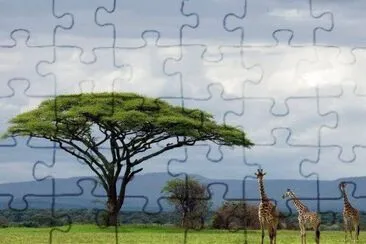 imagens jigsaw puzzle