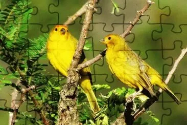 imagens jigsaw puzzle