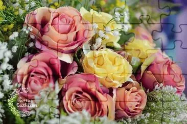 Flores