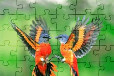 imagens jigsaw puzzle