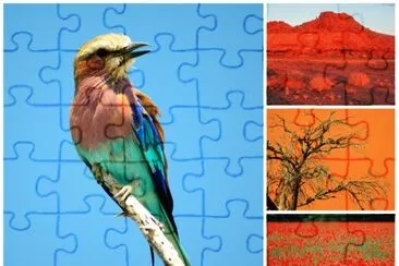 oiseau jigsaw puzzle