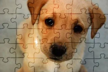smart jigsaw puzzle