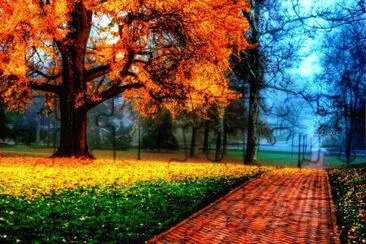 paisaje otoÃ±al jigsaw puzzle