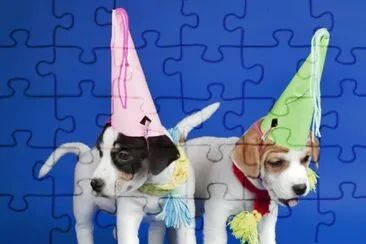 Perros-cachorros.jpg jigsaw puzzle