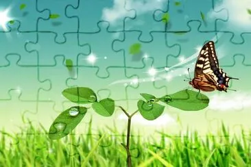 Mariposa-Mundo-.jpg