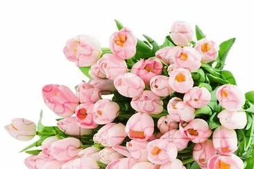 flowers jigsaw puzzle