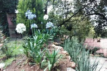 jardÃ­n