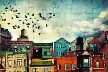birds over the city