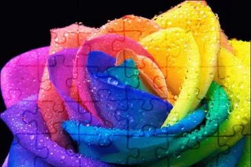 rose jigsaw puzzle
