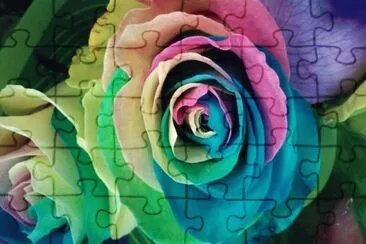 rose jigsaw puzzle