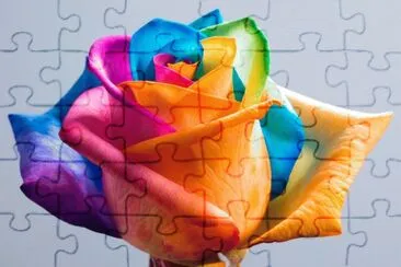 rose jigsaw puzzle