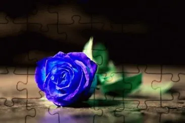 blu rose jigsaw puzzle
