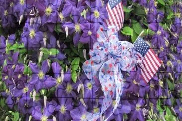 Purple Clematis and Flags jigsaw puzzle