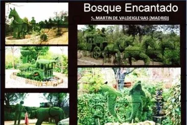 EL BOSQUE ENCANTADO - S. MARTÃN DE VALDEIGLESIAS