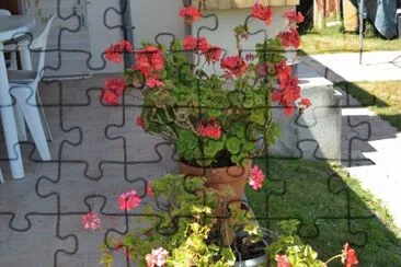 fleur