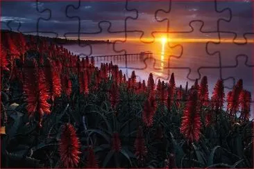 ROJO ATARDECER jigsaw puzzle