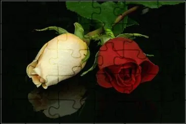 pimpollos jigsaw puzzle