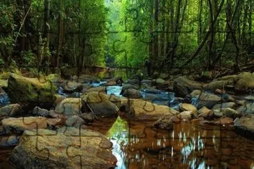 Reserva Florestal Sinharaja jigsaw puzzle