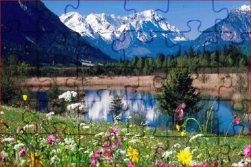 CAMPO FLORIDO jigsaw puzzle