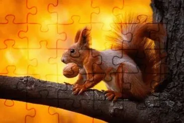 imagens jigsaw puzzle