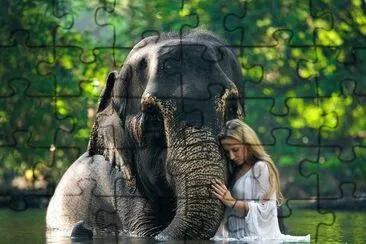 Elefante jigsaw puzzle
