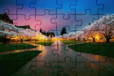 Aurora y Puesta de Sol jigsaw puzzle