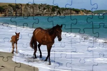 Postal jigsaw puzzle